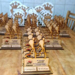 Troféus 9ª Etapa 2018